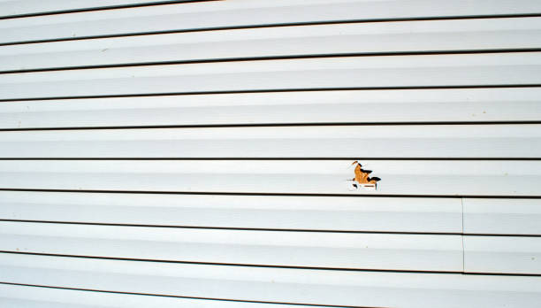 Reliable Dundee, MI Siding Installation & Repair Solutions