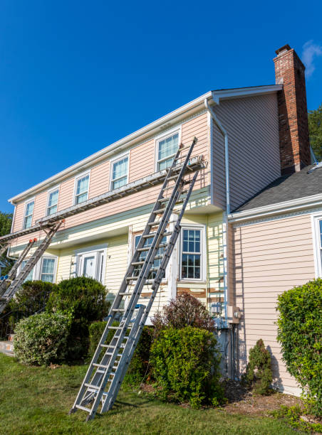 Best Residential Vinyl Siding Installation  in Dundee, MI